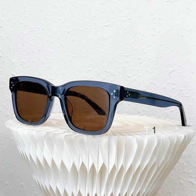 Celine Sunglasses ID:20230724-52